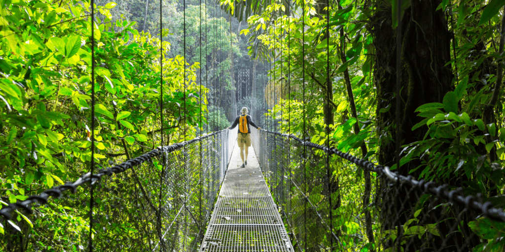 CABECERA COSTA RICA EN ESTADO PURO - BURGOS TRAVEL