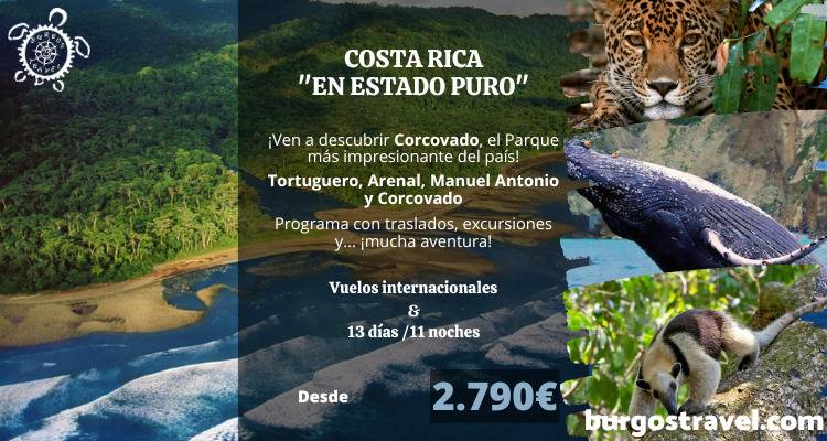 PROGRAMA COSTA RICA EN ESTADO PURO