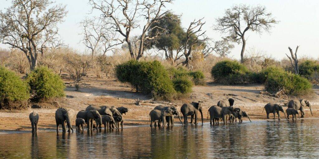CABECERA BOTSWANA