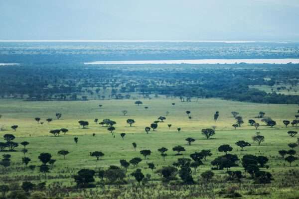 Parque Nacional Queen Elizabeth