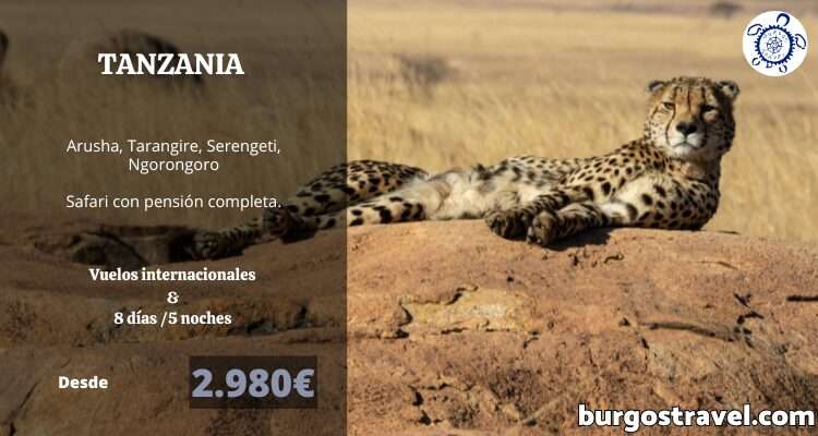 PROGRAMA TANZANIA