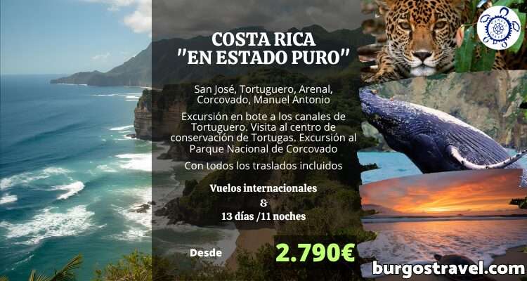 PROGRAMA COSTA RICA EN ESTADO PURO