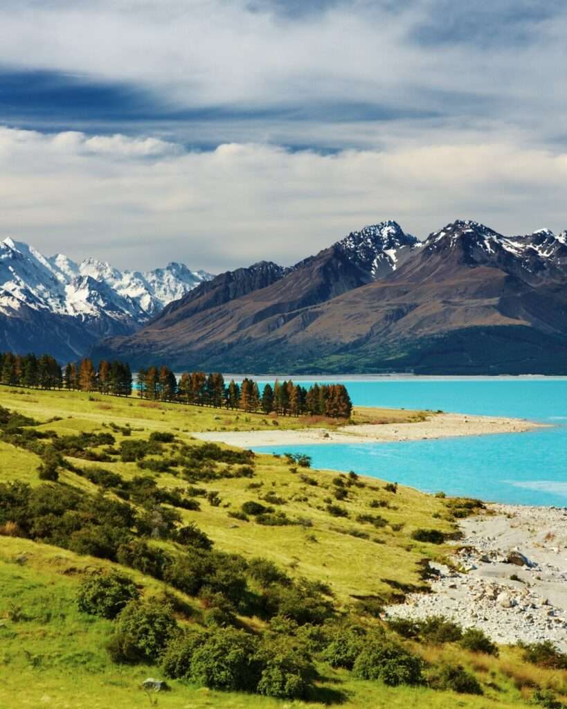 PORTADA NUEVA ZELANDA