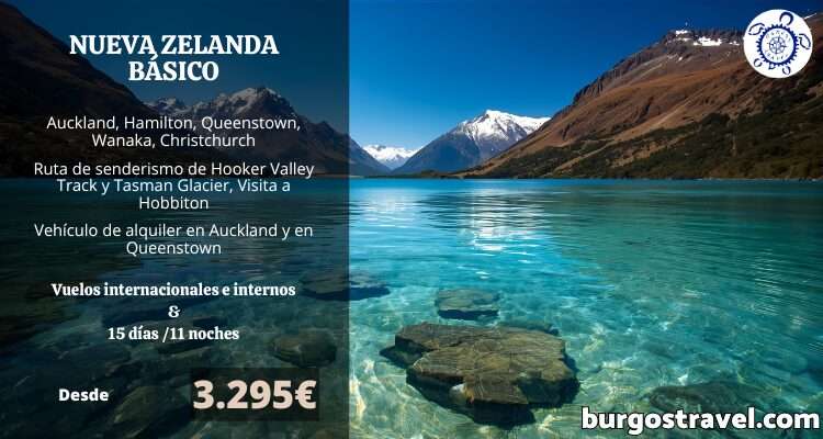 PROGRAMA NUEVA ZELANDA BÁSICO