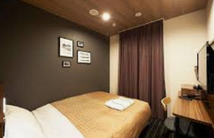 Sotetsu Fresa Inn Nihombashi Kayabacho tokio