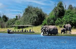 Chobe