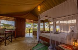 Safari Tanzania