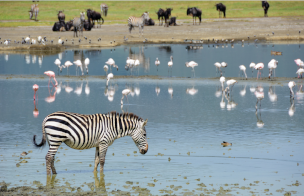 foto NGORONGORO - tanzania
