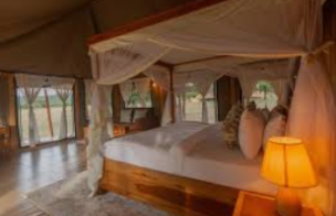 Tanzania Safari