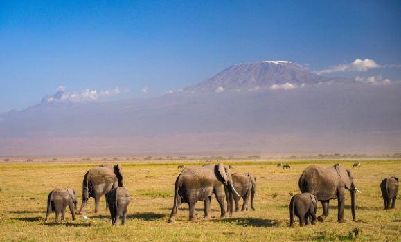 amboseli, parque natural, kenia