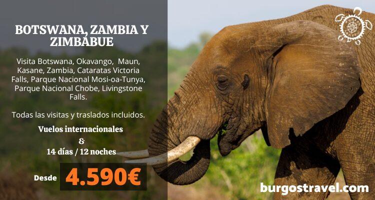 programa botswana, zambia y zimbabue