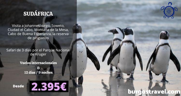 Programa Sudáfrica al completo con safari en Kruger, Ciudad del Cabo y Ruta Jardín.