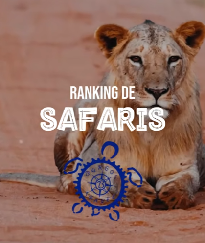 portada ranking safaris blog